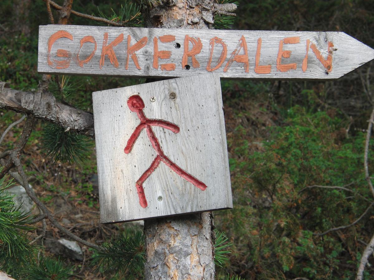 Strind Gard, Visdalssetra Villa Boverdalen Eksteriør billede