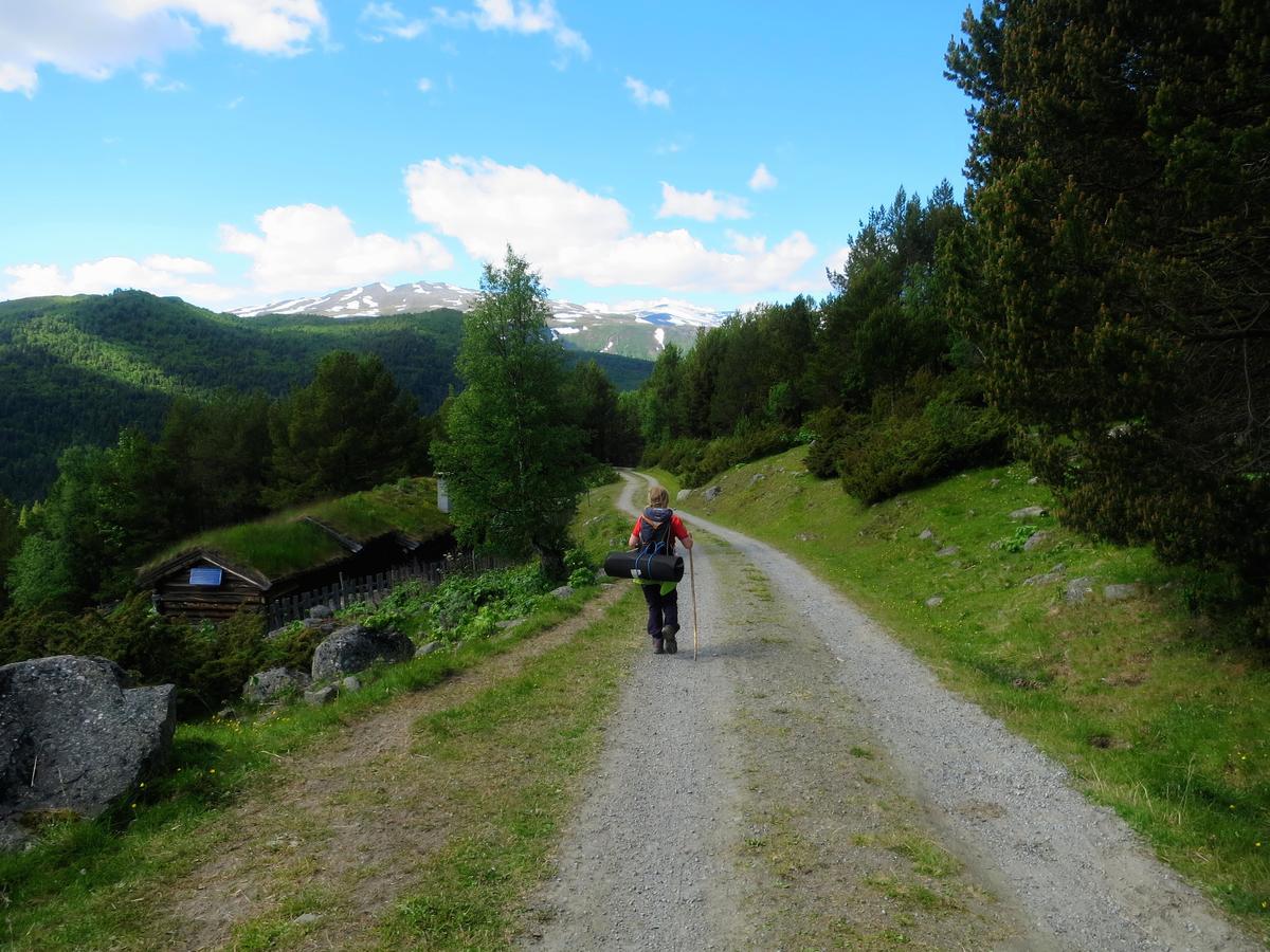 Strind Gard, Visdalssetra Villa Boverdalen Eksteriør billede